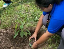 Kelompok KKN Universitas Lampung Gelar Program “Kecil Menanam, Dewasa Memanen” untuk Konservasi Ekosistem Darat