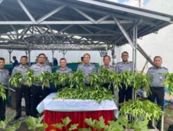 Panen Sayur Kangkung, Kalapas Narkotika Kelas IIA Bandar Lampung Dukung Ketahanan Pangan Nasional