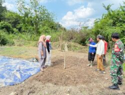 Pertamina Perkuat Adaptasi Iklim Melalui Sistem Pangan Terintegrasi di Kelurahan Kasang Jambi