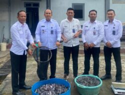 Dukung Program Menteri Imigrasi dan Pemasyarakatan, Lapas Narkotika Bandar Lampung Sukses Panen Lele 150 kg