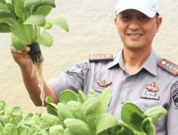 Lapas Kelas IIA Bekasi Gelar Panen Hasil Pertanian Hidroponik yang Dikelola Warga Binaan