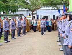 Menuju Desa Tangguh Pangan! Rawa Selapan Unjuk Gigi di Lomba Desa 2025 Lampung Selatan