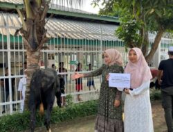 Rayakan Idul Adha 1446 H, Lapas Kelas I Bandar Lampung Lakukan Pemotongan Hewan Kurban