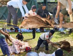 Semangat Berkurban, Kanwil Ditjenpas Lampung Sembelih Tigs Ekor Sapi Usai Laksanakan Sholat Idul Adha 1446 H