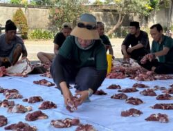 Emersia Hotel Bandar Lampung Sembelih Enam Hewan Qurban di Hari Raya Idul Adha