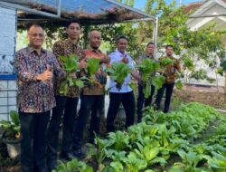 Perkuat Ketahanan Pangan, Warga Binaan Rutan Kelas I Bandar Lampung Budidaya Tanaman Sawi