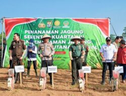 Dukung Swasembada Pangan, Kasrem 043/Gatam Hadiri Penanaman Jagung Serentak