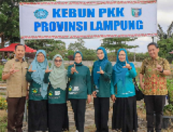TP. PKK Provinsi Lampung Dorong Pemanfaatan Pekarangan Rumah untuk Ketahanan Pangan Keluarga