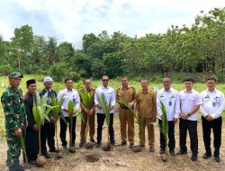 Kanwil Ditjenim Lampung Bersama Kantor Imigrasi Kelas II Non TPI Kalianda Ikuti Penanaman Ratusan Pohon Kelapa Secara Serentak