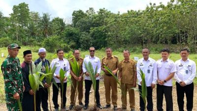 Kanwil Ditjenim Lampung Bersama Kantor Imigrasi Kelas II Non TPI Kalianda Ikuti Penanaman Ratusan Pohon Kelapa Secara Serentak