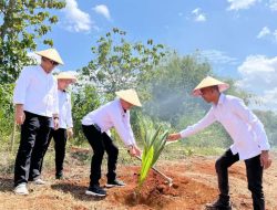 Semakin Produktif, Lahan SAE Rutan Sukadana Ditanami Bibit Pohon Kelapa Wujudkan Ketahanan Pangan Nasional