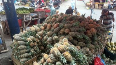 Pedagang Buah Lampung Sukses Kembangkan Usaha Berkat KUR BRI