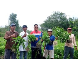 Pertamina Patra Niaga Sumbagsel Berdayakan Masyarakat Selesaikan Masalah Kekeringan dan Karhutla Melalui Program TJSL Sinergi Semambu
