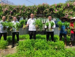 Karutan Bandar Lampung Beserta Jajaran Lakukan Panen Kangkung Berkala Sebagai Wujud Nyata Pembinaan dan Kemandirian Ketahanan Pangan