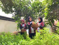 Dukung Program 13 Akselerasi Menteri Imigrasi dan Pemasyarakatan, Lapas Kelas IIA Tangerang Panen Ginseng di Sarana Asimilasi dan Edukasi