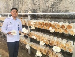 Dukung Program Ketahanan Pangan Presiden, Lapas Brebes Panen Jamur Tiram di Lahan SAE