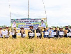 6 Ton per Hektare! Bupati Egi Apresiasi Panen Perdana Padi Biosalin di Lahan Bekas Tambak Sragi
