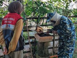 Pertamina Patra Niaga Regional Sumbagsel Dorong Kemandirian Ekonomi Hijau Lewat Budidaya Lebah Trigona di Desa Tanjung Dalam