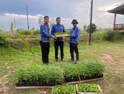 Dukung Ketahanan Pangan, Lapas Brebes Kirim Bibit Cabai dan Daun Kelor ke Lapas Terbuka Kendal