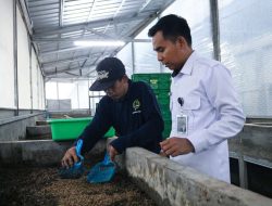 Lapas Cibinong Hasilkan 300 Kg Maggot Sebagai Solusi Cerdas Dalam Mengatasi Sampah Organik
