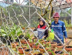 Pertamina Patra Niaga Regional Sumbagsel Perkuat Adaptasi Iklim dan Konservasi Tanaman di Kebun Raya Tuatunu