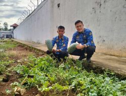 Kepala Rutan Sukadana Laksanakan Peninjauan Program Ketahanan Pangan di Lahan Budidaya Semangka