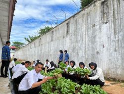Menanam Kebersamaan, Memanen Harapan: Rutan Sukadana Panen Pakcoy Bersama Peserta Magang dan Warga Binaan