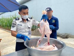 Panen Ratusan Bebek Pedaging, Lapas Cibinong Tunjukkan Keberhasilan Program Pembinaan Warga Binaan Yang Produktif