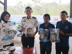 Lapas Cibinong Panen Lele 71 Kg Sebagai Wujud Pembinaan Produktif dan Bernilai Ekonomi