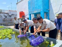 Tebar 2.000 Benih Lele, Lapas Brebes Semangat Awali Tahun dan Dukung 15 Program Aksi Kemenimipas