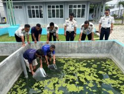 Lapas Way Kanan Tebar 800 Bibit Ikan Nila dan Ikan Gurame Guna Dukung Kemandirian Pangan Melalui Program Perikanan