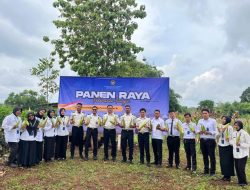 Rutan Kelas IIB Sukadana Berhasil Panen 100 Kg Jagung Manis Pada Panen Raya Serentak