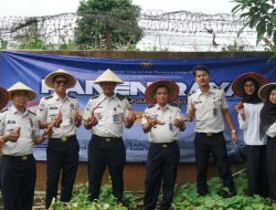 Panen Raya Serentak di SAE, Lapas Kalianda Pastikan Hasil Panen Melimpah