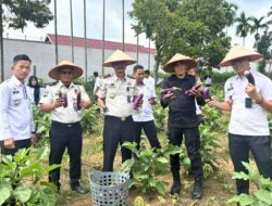 Wujudkan Transformasi Kemandirian Warga Binaan,  Kalapas Mukhlisin Fardi Beserta Jajaran Lapas Kelas IIB Muara Tebo Gelar Panen Raya Serentak