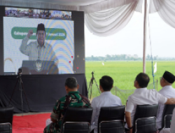 Prabowo Umumkan Swasembada Pangan, Lampung Catat Kenaikan Produksi Padi 15 Persen