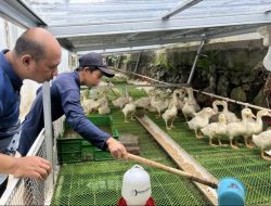 Dari Pengolahan Sampah hingga Peternakan, Kebun Inovasi Lapas Cibinong Sarana Inovatif untuk Dukung Ketahanan Pangan Nasional