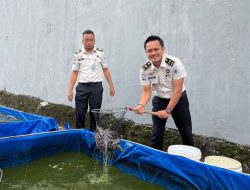 Produktif di Balik Tembok Penjara, Rutan Sukadana Sukses Panen Ikan Lele Hasil Kemandirian Warga Binaan