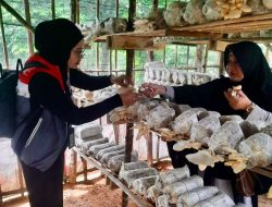 Pemuda Banu Ayu dan Pertamina Patra Niaga Regional Sumbagsel Ubah Limbah Bambu Jadi Peluang Ekonomi Sirkular