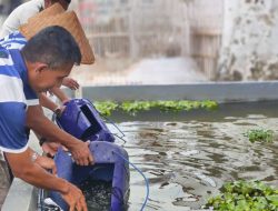 Warga Binaan Lapas Brebes Tebar 2.000 Benih Lele Guna Dukung Program Ketahanan Pangan