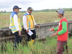 Direktur Bina OP Ditjen SDA Kementerian PU Tinjau Perbaikan Irigasi Gantung Mesuji-Tulang Bawang
