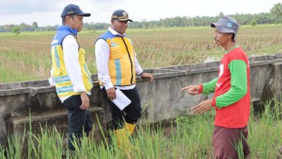 Direktur Bina OP Ditjen SDA Kementerian PU Tinjau Perbaikan Irigasi Gantung Mesuji-Tulang Bawang