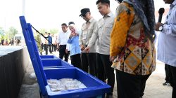 Pastikan Fasilitas Kawasan Nelayan Terintregasi, Wapres Tinjau KNMP Desa Margasari
