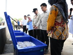 Pastikan Fasilitas Kawasan Nelayan Terintregasi, Wapres Tinjau KNMP Desa Margasari