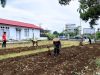 Dukung Ketahanan Pangan, Lapas Muara Tebo Kembali Laksanakan Penanaman Bibit Sayur