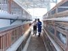 Dukungan Program Ketahanan Pangan, Kebun Inovasi Lapas Cibinong Jadi Wadah Pembinaan Produktif Bagi Warga Binaan