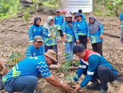 Pertamina Patra Niaga Regional Sumbagsel Kembangkan Potensi Durian Lokal di Bangka Tengah