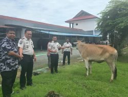 Lapas Ampana Terima Bantuan Hewan Qurban dari Wakil Ketua MPR RI sebagai Wujud Kepedulian dan Penguatan Pembinaan Warga Binaan