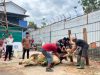 Semangat Kurban Satukan Kebersamaan, Rutan Sukadana Sembelih 12 Hewan Kurban
