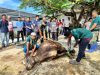 Rutan Kelas I Bandar Lampung Laksanakan Pemotongan Hewan Qurban Idul Adha 1447 H