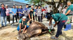 Rutan Kelas I Bandar Lampung Laksanakan Pemotongan Hewan Qurban Idul Adha 1447 H